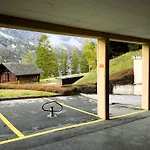 Retro Alpine - Terrace With Mountain View ロイカーバード
